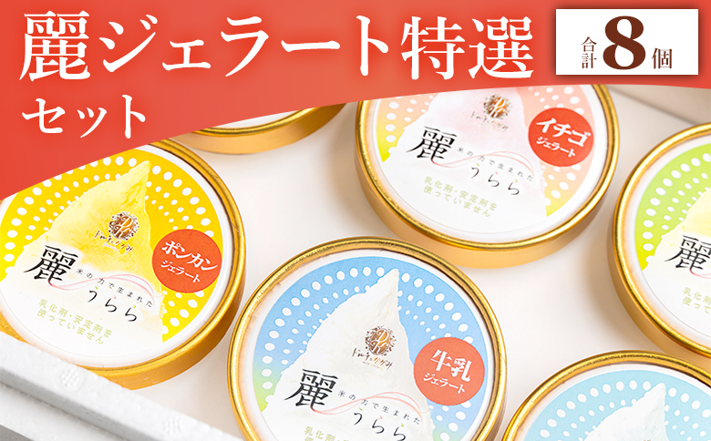 添加物不使用 麗ジェラート 特選 8個セット dc-0068