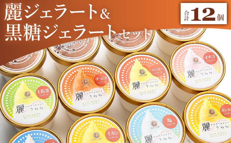麗ジェラートと黒糖ジェラート 12個セット dc-0073