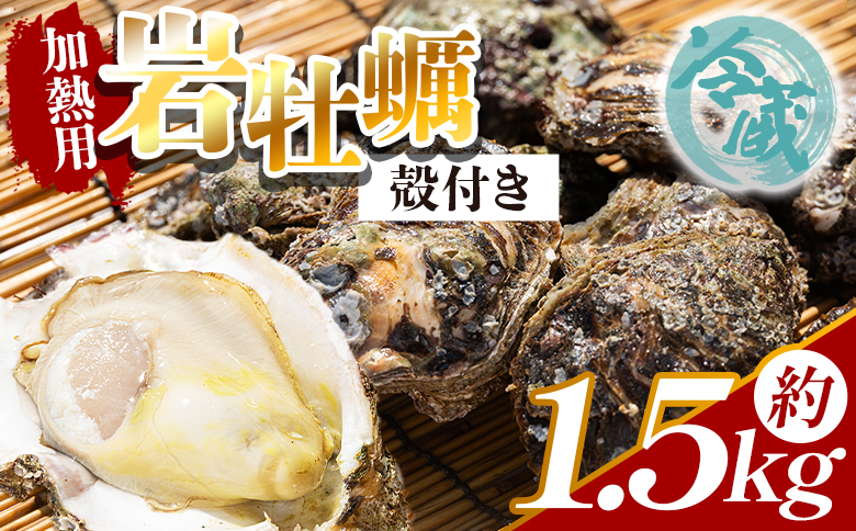 【先行受付】岩牡蠣(殻付き) 1.5kg 冷蔵 加熱用 ＜出荷期間：2026年5月～10月＞ 国産 カキ かき 牡蠣 魚介 海鮮 貝類 殻つき 天然 産地直送 肉厚 フライ 焼き牡蠣 海の幸 えび蔵 高知県 香南市 冷蔵 eb-0033
