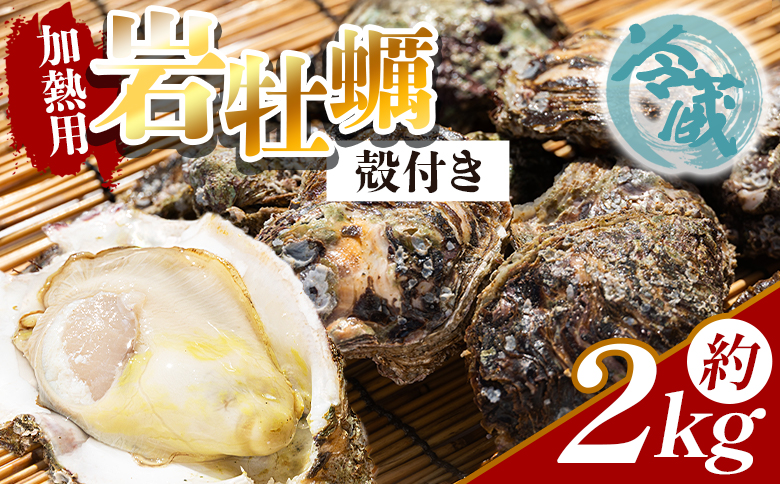 【先行受付】岩牡蠣(殻付き) 2kg 冷蔵 加熱用＜出荷期間：2026年5月～10月＞国産 カキ かき 牡蠣 魚介 海鮮 貝類 殻つき 天然 産地直送 肉厚 フライ 焼き牡蠣 海の幸 えび蔵 高知県 香南市 冷蔵 eb-0034