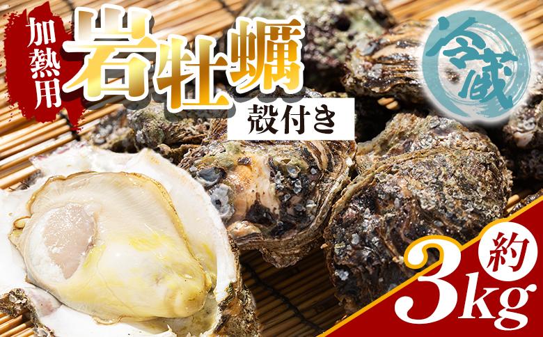 【先行受付】岩ガキ(殻付き) 3kg 冷蔵 加熱用＜出荷期間：2026年5月～10月＞ 国産 カキ かき 牡蠣 魚介 海鮮 貝類 殻つき 天然 産地直送 肉厚 フライ 焼き牡蠣 海の幸 えび蔵 高知県 香南市 冷蔵 eb-0035