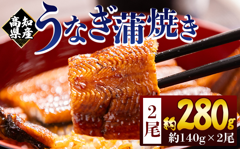 高知県産蒲焼きうなぎ 約140ｇ 2尾 計約280ｇ fb-0144 2尾 約140g