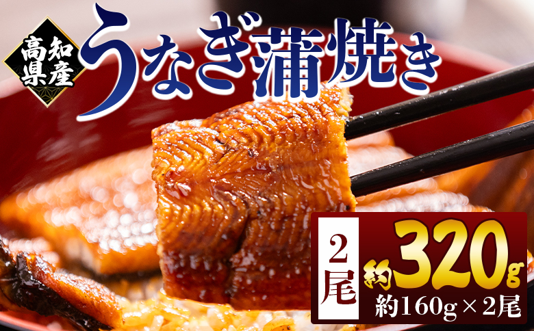 高知県産蒲焼きうなぎ 160ｇ 2尾 計320ｇ fb-0152 2尾 約160g