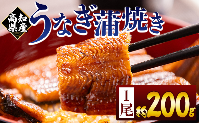 高知県産蒲焼きうなぎ 200ｇ 1尾 fb-0159 1尾 約200g