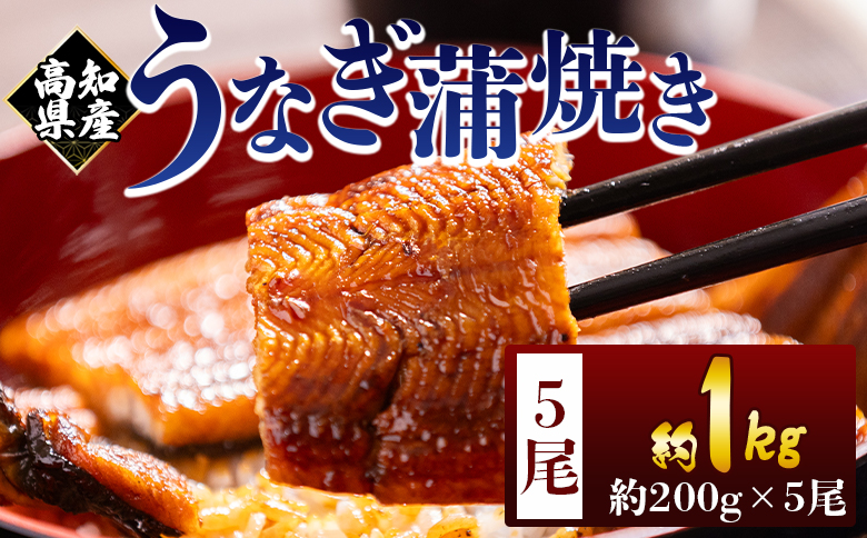 高知県産蒲焼きうなぎ 200ｇ 5尾 計1000ｇ fb-0162 5尾 約200g