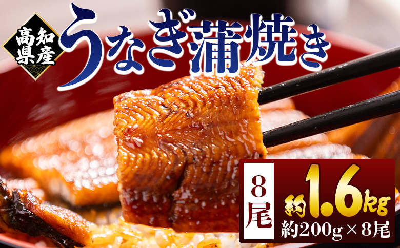 高知県産蒲焼きうなぎ 200ｇ 8尾 計1600ｇ fb-0164 8尾 約200g