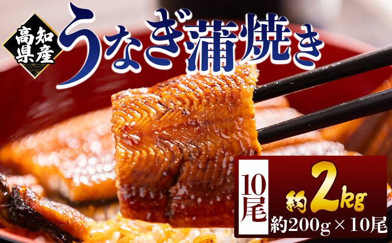 高知県産蒲焼きうなぎ 200ｇ 10尾 計2000ｇ fb-0165 10尾 約200g