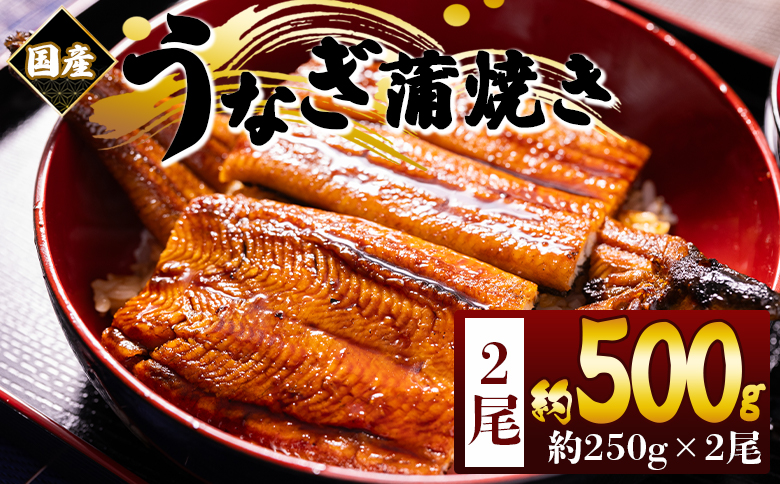 国産蒲焼きうなぎ 250ｇ 2尾 計500ｇ fb-0167 2尾 約250g