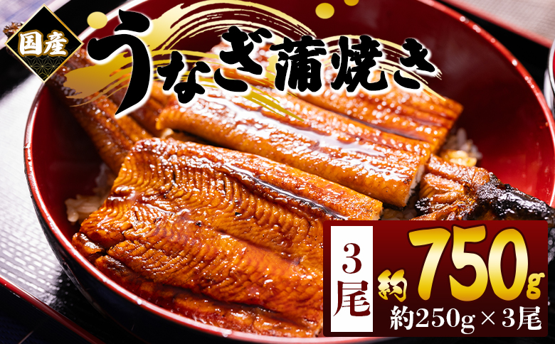 国産蒲焼きうなぎ 250ｇ 3尾 計750g fb-0168 3尾 約250g