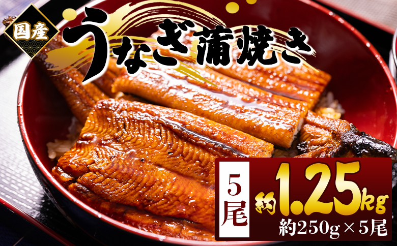 国産蒲焼きうなぎ 250ｇ 5尾 計1250ｇ fb-0170 5尾 約250g