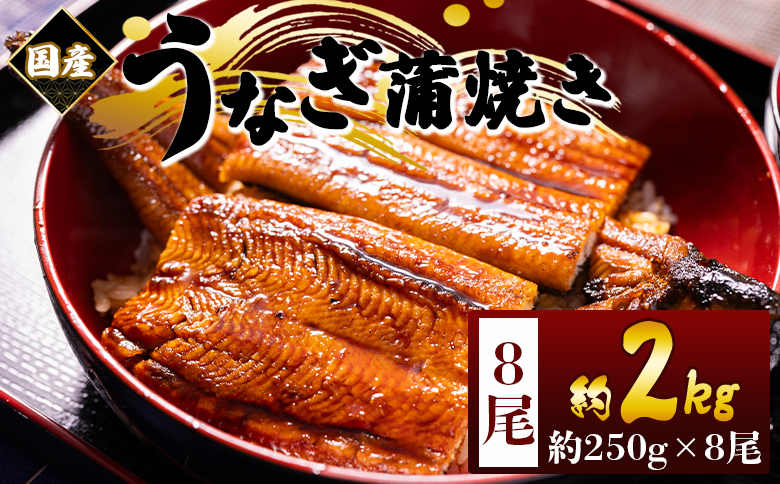 国産蒲焼きうなぎ 250ｇ 8尾 計2000ｇ fb-0172 8尾 約250g