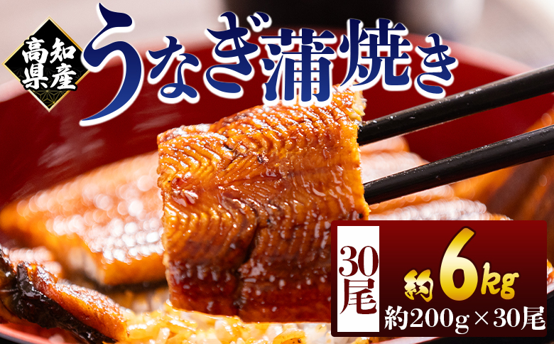 高知県産蒲焼きうなぎ 200ｇ 30尾 計6000ｇ fb-0189 30尾 約200g