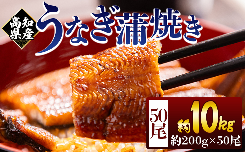 高知県産蒲焼きうなぎ 200ｇ 50尾 計10000ｇ fb-0190 50尾 約200g