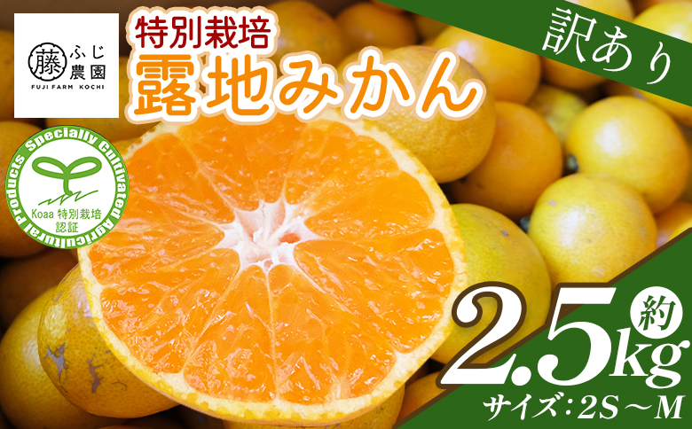 【2026年10月以降順次配送分】ふじ農園の露地みかん 訳あり品 2.5kg (2S～M) - 国産 蜜柑 ミカン 柑橘 果物 フルーツ 訳アリ ご家庭用 家庭用 自宅用 ふじ農園 高知県 香南市 常温 fn-0012 訳あり 2.5kg (2S〜M)