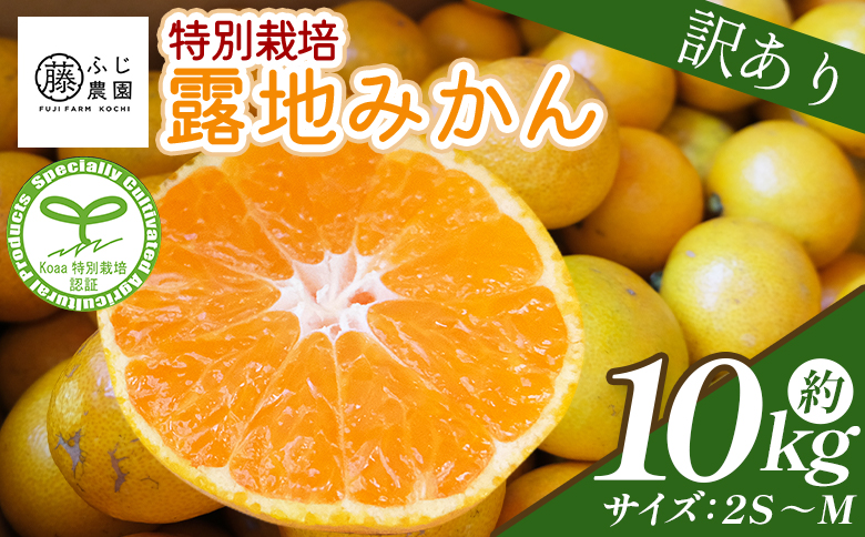 【2026年10月以降順次配送分】ふじ農園の露地みかん 訳あり品 10kg (2S～M) - 国産 蜜柑 ミカン 柑橘 果物 フルーツ 訳アリ ご家庭用 家庭用 自宅用 ふじ農園 高知県 香南市 常温 fn-0014 訳あり 10kg (2S?M)