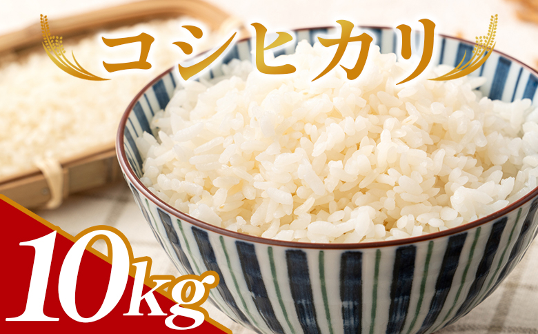 コシヒカリ 計１０kg ga-0007