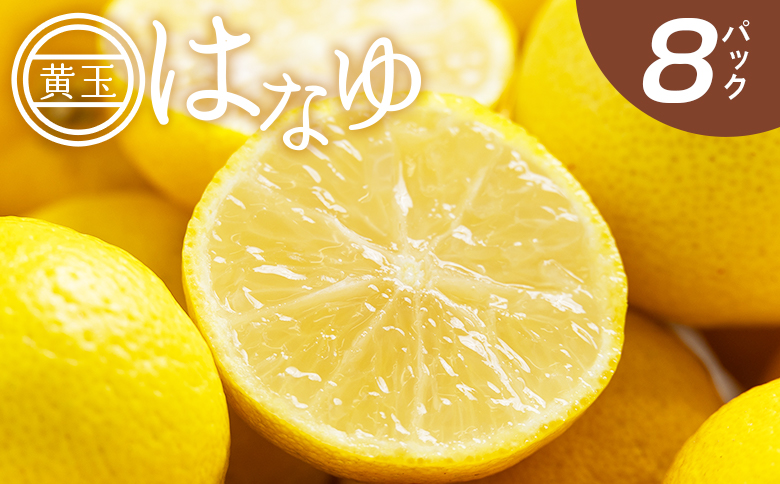 【2026年11月以降順次配送】虎弥太郎 はなゆ黄玉 ８パック hy-0003