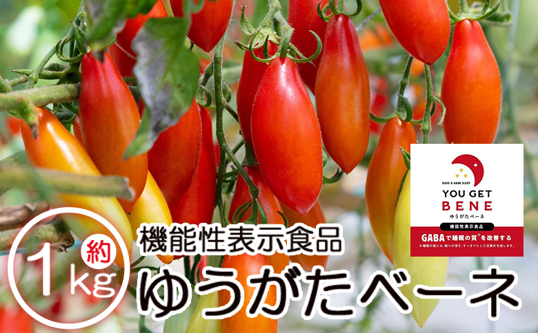 機能性表示食品 ミニトマト ゆうがたベーネ 1kg - ミニトマト プチトマト フルーツトマト ギフト のし対応 高糖度 お歳暮 御歳暮 贈答用 贈り物 is-0013