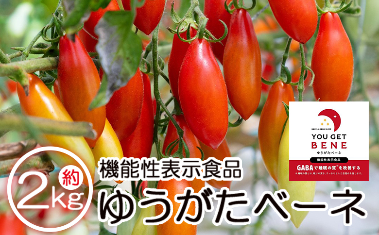 機能性表示食品 ミニトマト ゆうがたベーネ 2kg - ミニトマト プチトマト フルーツトマト ギフト のし対応 高糖度 お歳暮 御歳暮 贈答用 贈り物 is-0014