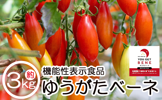 機能性表示食品 ミニトマト ゆうがたベーネ 3kg - ミニトマト プチトマト フルーツトマト ギフト のし対応 高糖度 お歳暮 御歳暮 贈答用 贈り物 is-0015