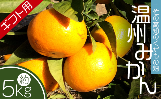 【先行予約】土佐の高知のくだもの畑 みかん（ギフト用）約5kg - 温州みかん ミカン 蜜柑 柑橘 柑橘類 フルーツ 果物 くだもの 熨斗 のし対応可 贈り物 贈答用 贈答品 プレゼント ギフト お祝い 感謝 お礼 高知県 香南市 kd-0026