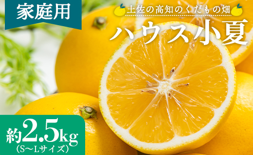 【2026年出荷分】ハウス小夏(日向夏) 2.5kg(家庭用) 高知 土佐 こなつ 果物 フルーツ 土佐の高知のくだもの畑 【先行予約】 - 家庭用 訳あり 小夏 ハウス ミカン みかん 蜜柑 柑橘 果物 フルーツ こなつ のし対応可 熨斗 国産 kd-0029