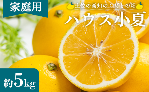 【2026年出荷分】小夏(日向夏) 5kg 訳あり 高知 家庭用 土佐 ハウス小夏 訳あり こなつ 果物 フルーツ 土佐の高知のくだもの畑 【先行予約】 - 柑橘 おいしい 国産 甘い kd-0030