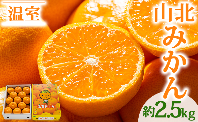 【2026年発送分】山北温室みかん2.5kg 秀品 ハウスみかん 果物 柑橘類 蜜柑 糖度高め フルーツ ku-0051 約2.5kg