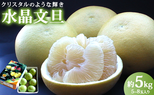 【令和8年9月中旬発送開始】水晶文旦 文旦 高知 5kg 先行受付 高知県香南市産 贈答 - 果物 フルーツ 文旦 ぶんたん ブンタン  柑橘 香南市産 高知県 数量限定 期間限定 季節限定 旬 常温 ku-0056 約5kg