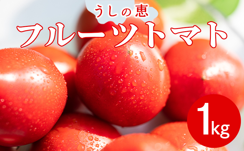野菜ソムリエが育てた うしの惠フルーツトマト 1kg(500g×2) mj-0025