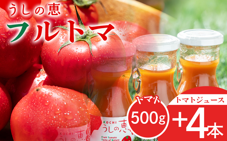 野菜ソムリエが育てた うしの惠フルーツトマト500g＋トマトジュース4本 mj-0026