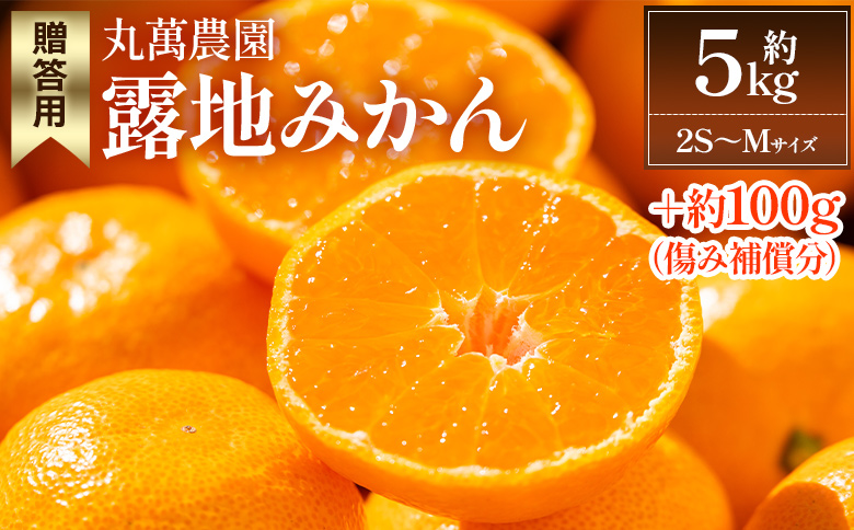 【2026年出荷分】露地みかん(2S～Mサイズ) 5kg 贈答用 丸萬農園 mn-0009 贈答用 約5kg