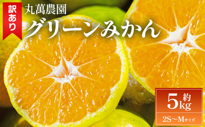 【2026年出荷分】グリーンみかん(2S～Mサイズ) 5kg 家庭用 丸萬農園 mn-0016