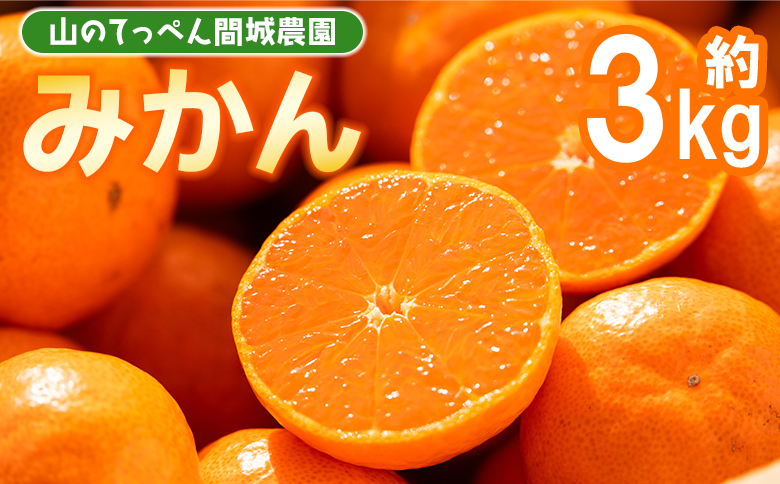 【数量限定】山のてっぺん 間城農園 みかん 約3kg - 送料無料 温州みかん ミカン 蜜柑 フルーツ 柑橘 果物 くだもの 甘い あまい おいしい 期間限定 配送日指定不可 高知県 香南市【常温】ms-0045