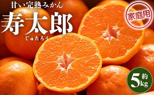 みかん 5kg 寿太郎 (家庭用) - フルーツ 訳あり 果物 柑橘 間城農園 ms-0082