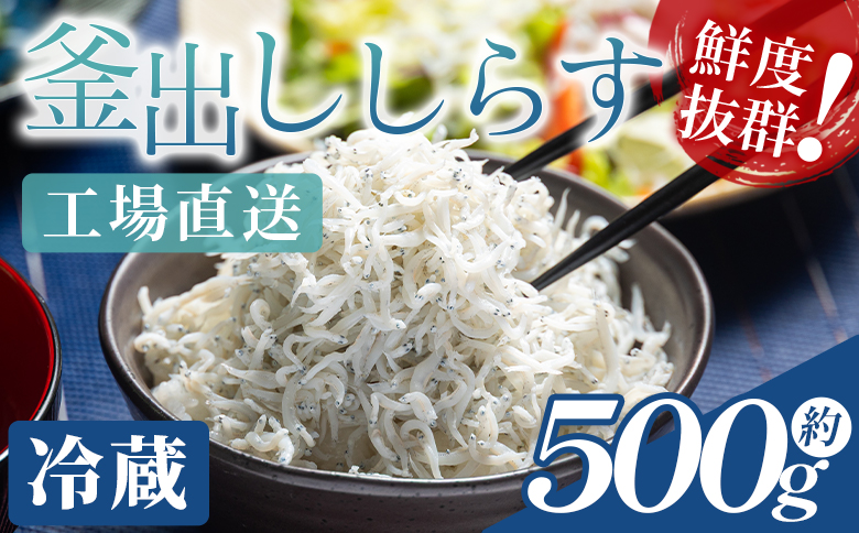 【冷蔵】釜出ししらす(ちりめん) 約500g mu-0009