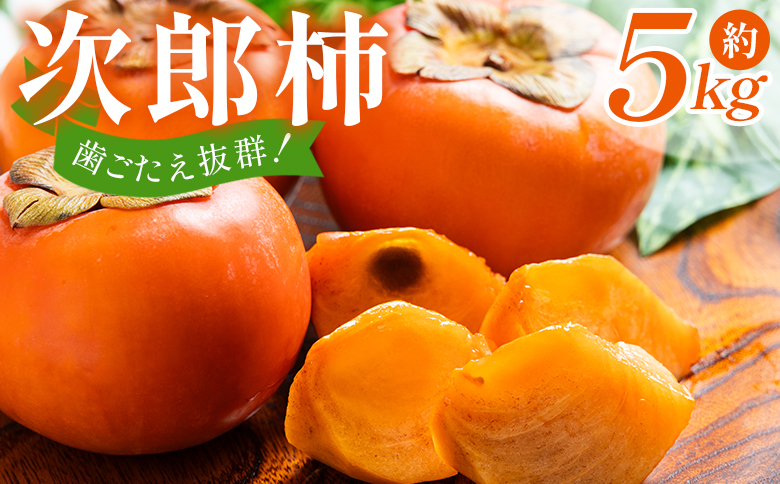 歯ごたえ抜群！次郎柿 5kg くだもの 果物 フルーツ 柿 かき カキ 5きろ 5キロ 美味しい 栄養 高知県 香南市 nm-0004
