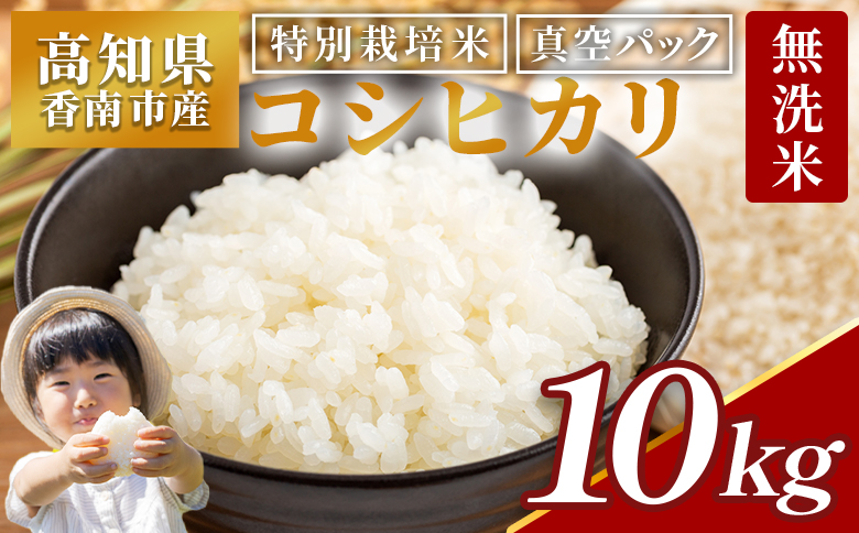 無洗米 高知県香南市産 特別栽培米 真空パック コシヒカリ 10kg - 国産 米 お米 おこめ こしひかり 白米 ごはん おにぎり おむすび ご飯 農業公社 高知県 香南市 常温 nu-0004 1回配送 約10kg