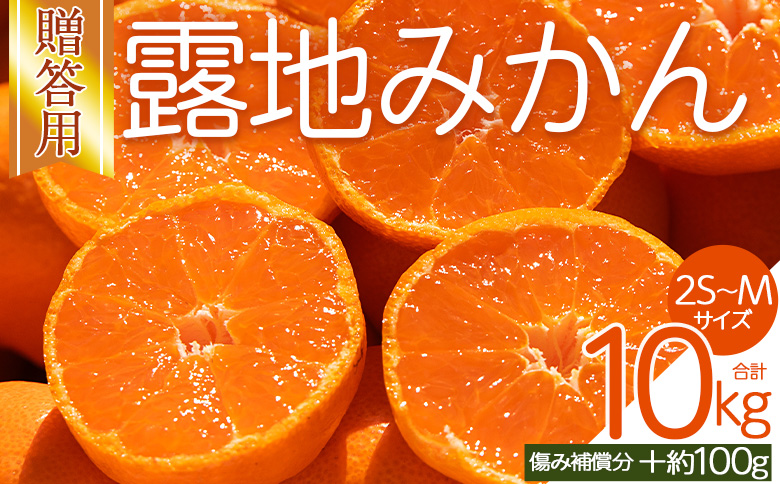 【2026年10月下旬発送】露地みかん(2S～Mサイズ) 10kg 贈答用 （傷み補償分 ＋約100g）om-0006