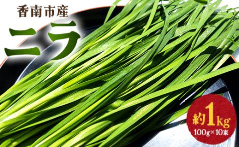 香南市産 ニラ 約1kg（100g×10束）- にら 韮 香味野菜 やさい 葉物 新鮮 生 料理 もつ鍋 餃子 饅頭 キムチ チヂミ 炒め物 おひたし 直送 国産 肉厚 高知県 on-0010