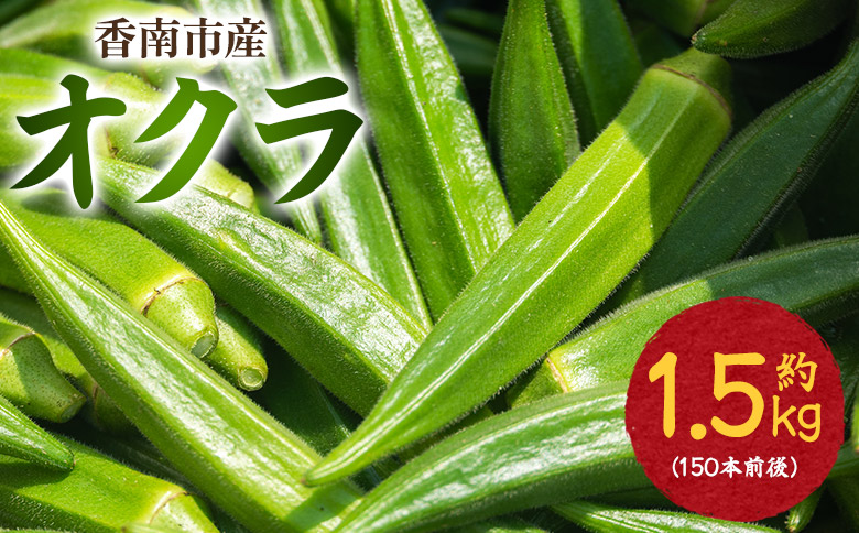 【2026年発送分】オクラ 1.5kg(150本前後) - おくら 野菜 やさい 新鮮 朝どれ 朝採れ 朝収穫 季節 旬 露地栽培 国産 香南市産 おきゃんぴー農園 高知県 香南市 冷蔵 on-0033 約1.5kg（150本前後）