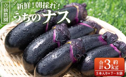 立仙農園 うちのナス 合計3kg - なす 茄子 なすび ナスビ 生鮮 野菜 やさい 朝採れ 新鮮 rs-0002 約3kg（5本入り×7?8袋）