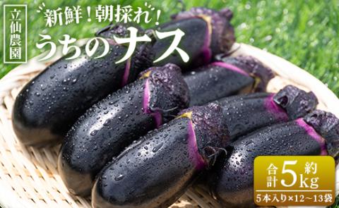 立仙農園 うちのナス 合計5kg - なす 茄子 なすび ナスビ 生鮮 野菜 やさい 朝採れ 新鮮 rs-0003 約5kg（5本入り×12?13袋）
