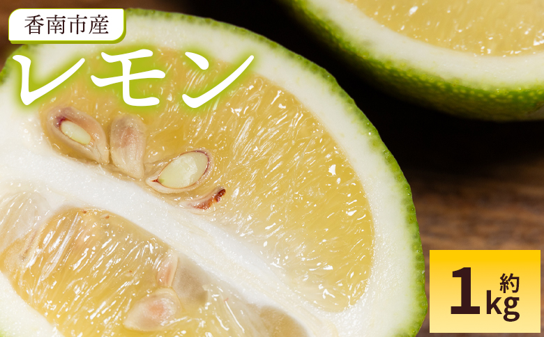 レモン 1kg - 香南市産 国産 檸檬 れもん 果物 くだもの フルーツ 野菜 柑橘 果汁 料理 アレンジ はちみつレモンパウンドケーキ 高知県 香南市 常温 冷蔵 sj-0008 約1kg