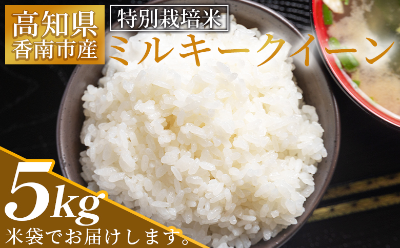 【令和8年8月下旬発送】新米 令和8年産 特別栽培米 ミルキークイーン 5kg 高知県香南市産 sr-0002