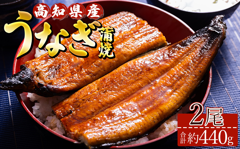 高知県産養殖うなぎ蒲焼き 2尾(合計約440g) - タレ付き たれ 土用の丑の日 鰻 ウナギ かばやき 蒲焼き うな丼 うな重 ギフト お中元 御中元 父の日 お礼 御礼 感謝 贈答 贈り物 送料無料 須崎市道の駅 高知県 香南市 ss-0043