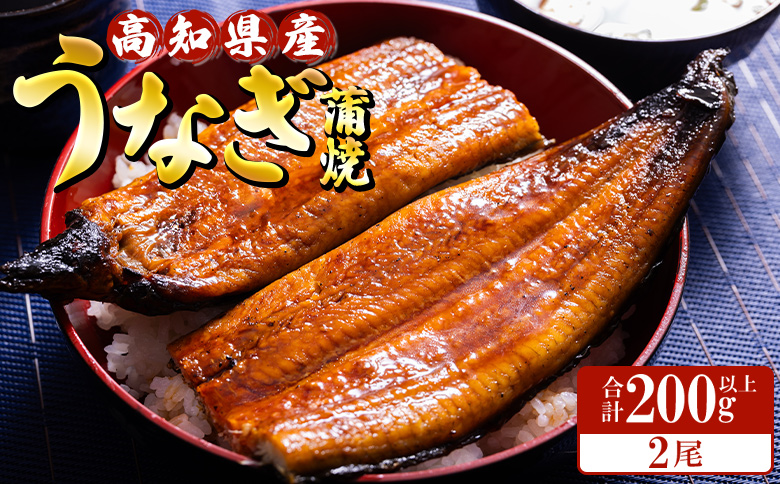 高知県産養殖うなぎ蒲焼 100～120g 2尾セット(合計200g以上) ss-0044