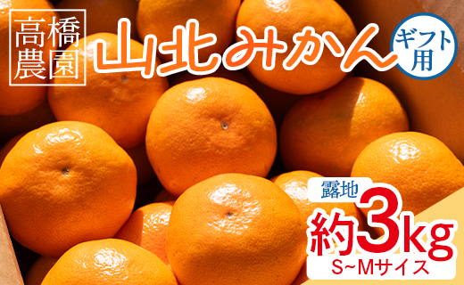 【2026年11月中旬より順次配送】高橋農園 山北みかん3kg(露地・Ｓ～Ｍ)ギフト用 th-0023