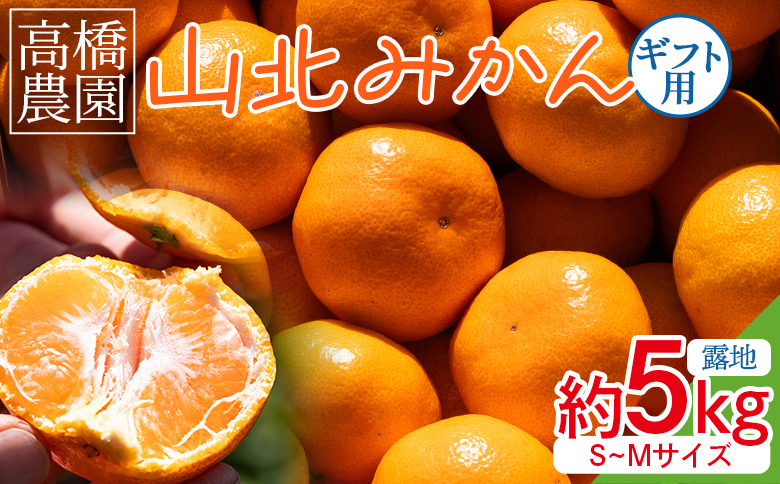 【2026年11月中旬より順次配送】高橋農園 山北みかん5kg(露地・Ｓ～Ｍ)ギフト用 th-0024