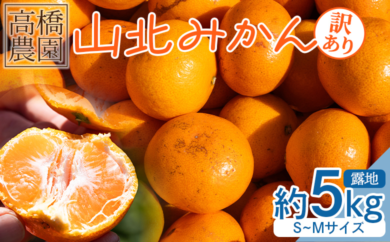 【2026年11月中旬より順次配送】家庭用 山北みかん5kg露地(Ｓ～Ｍ) 高橋農園 th-0025